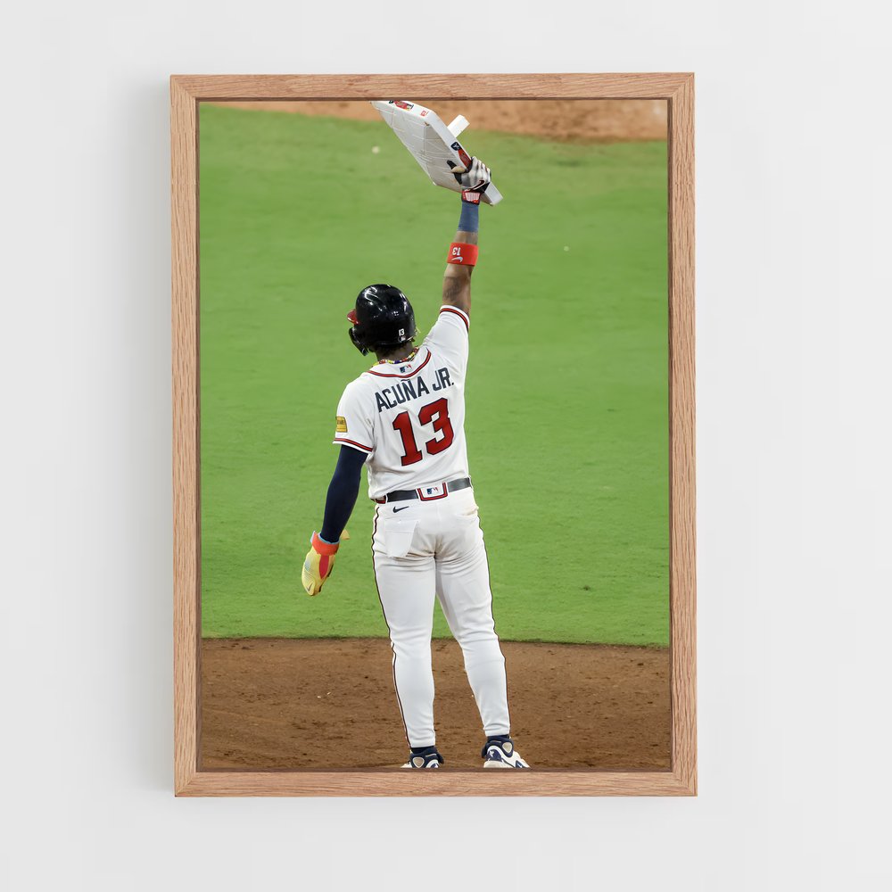 Poster L'Héritier du Terrains – affiche Baseball (vue 4)